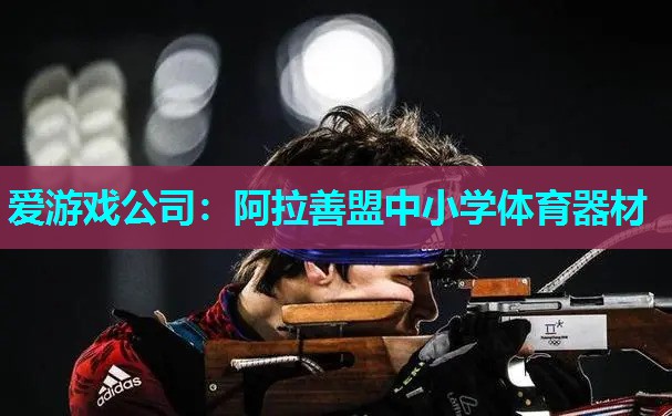 爱游戏公司：阿拉善盟中小学体育器材