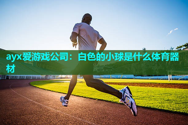 ayx爱游戏公司：白色的小球是什么体育器材