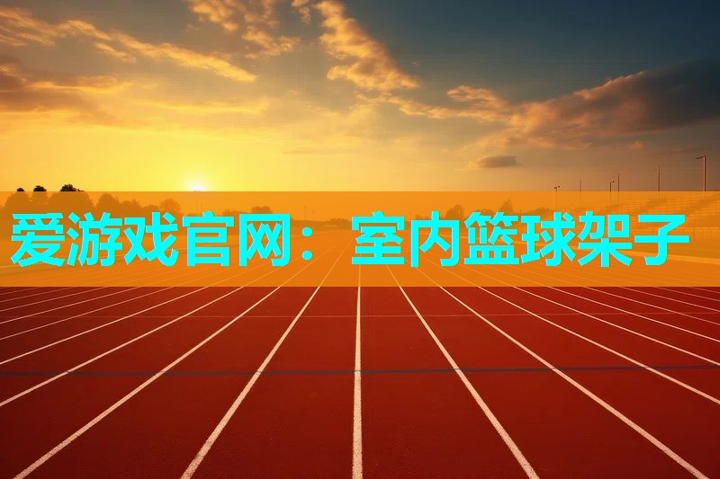 爱游戏官网：室内篮球架子