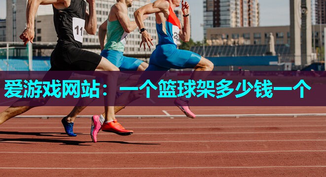 爱游戏网站：一个篮球架多少钱一个