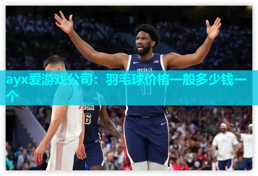 ayx爱游戏公司：羽毛球价格一般多少钱一个
