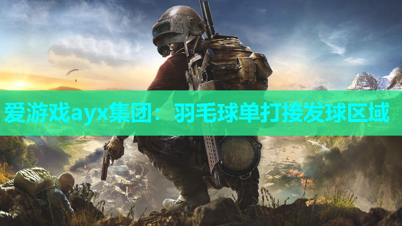 爱游戏ayx集团：羽毛球单打接发球区域