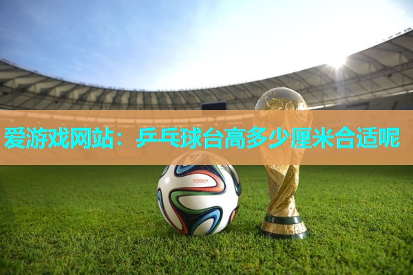 爱游戏网站：乒乓球台高多少厘米合适呢