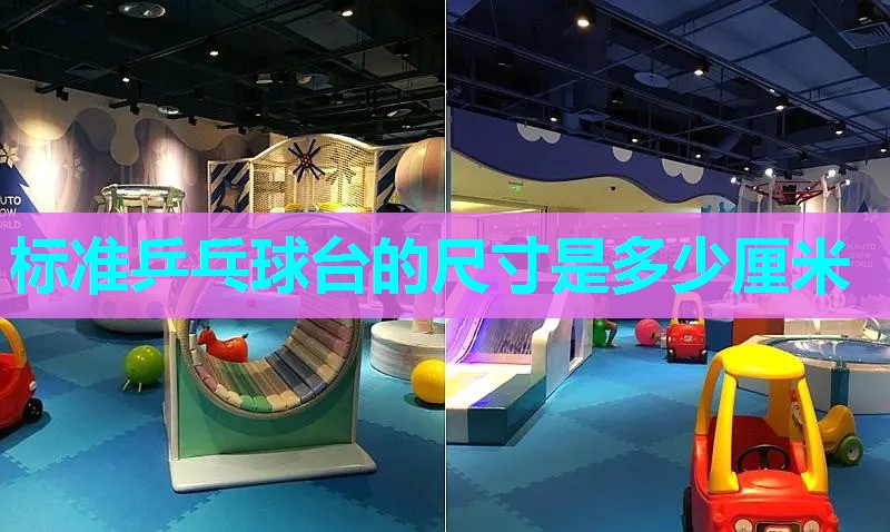 标准乒乓球台的尺寸是多少厘米