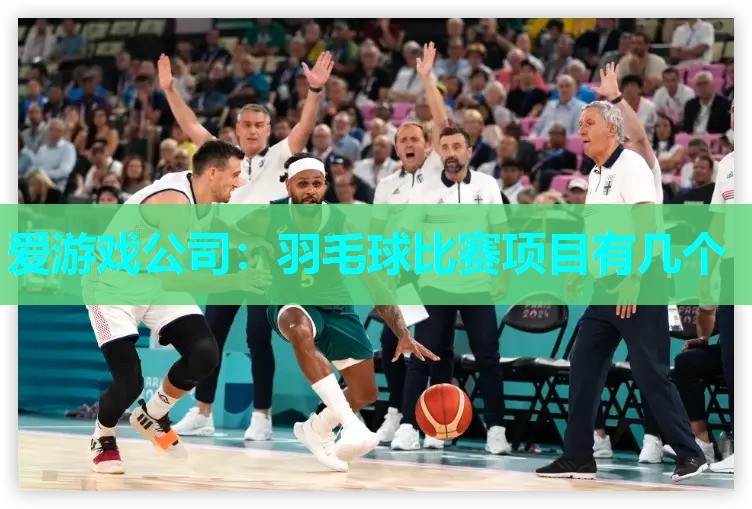 爱游戏公司：羽毛球比赛项目有几个