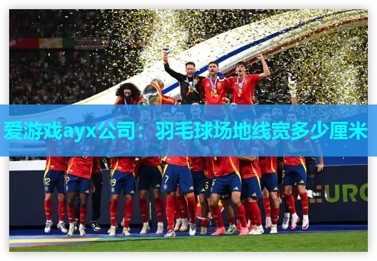 爱游戏ayx公司：羽毛球场地线宽多少厘米