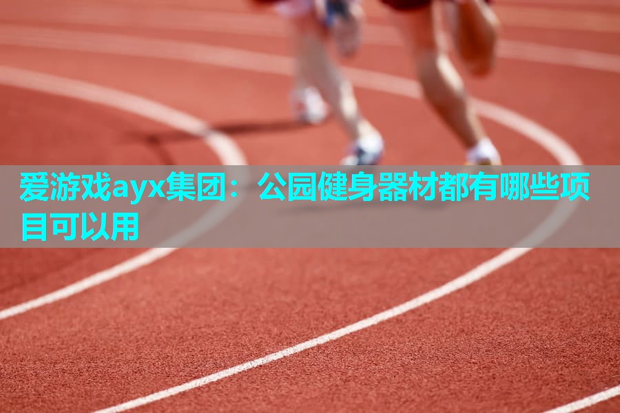 爱游戏ayx集团：公园健身器材都有哪些项目可以用