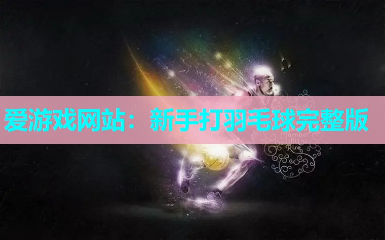 爱游戏网站：新手打羽毛球完整版