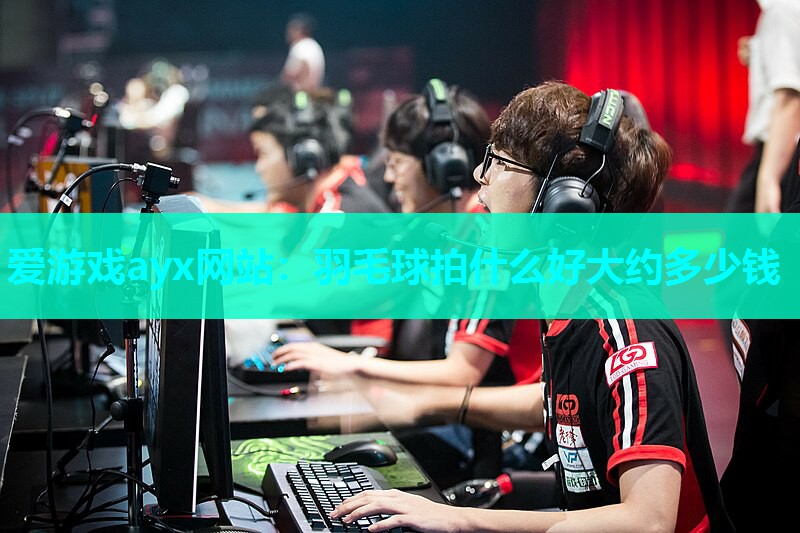 爱游戏ayx网站：羽毛球拍什么好大约多少钱