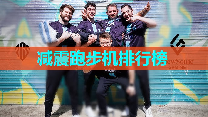 减震跑步机排行榜