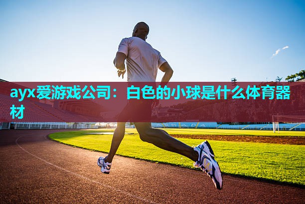 白色的小球是什么体育器材