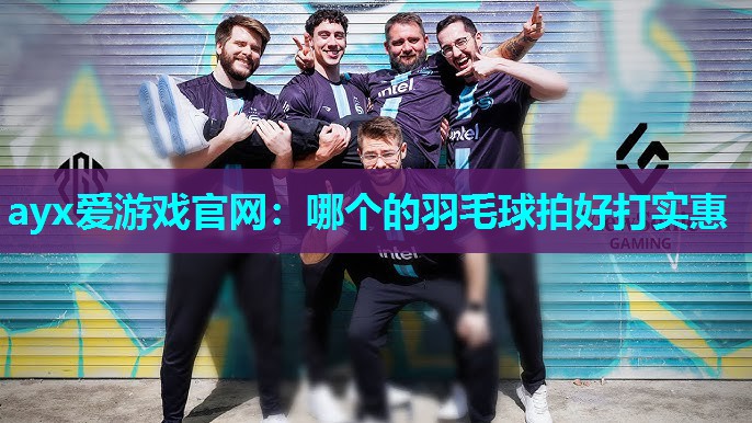 哪个的羽毛球拍好打实惠