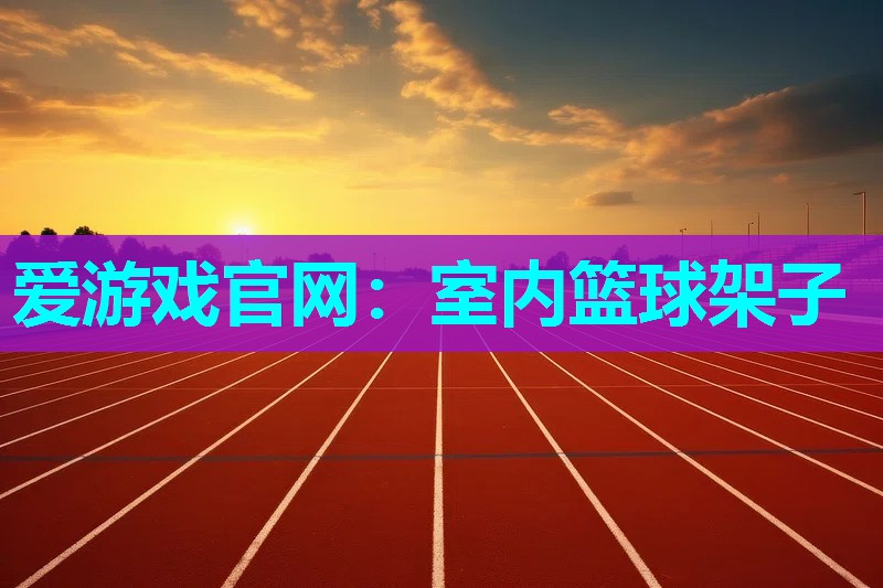 室内篮球架子