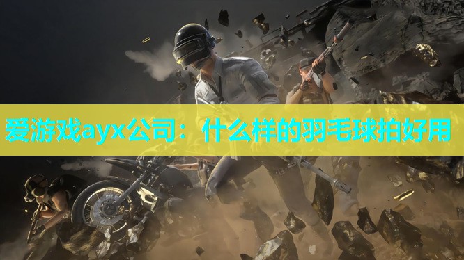 什么样的羽毛球拍好用