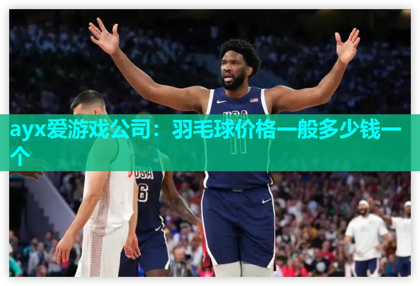羽毛球价格一般多少钱一个