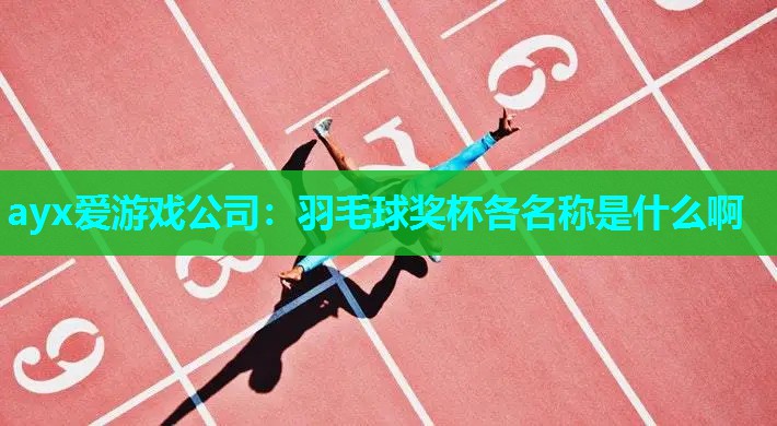 羽毛球奖杯各名称是什么啊