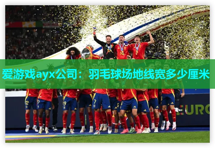 羽毛球场地线宽多少厘米