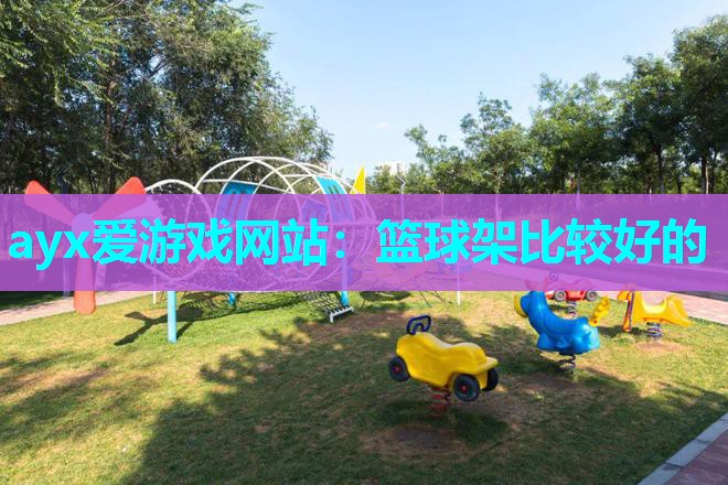 篮球架比较好的
