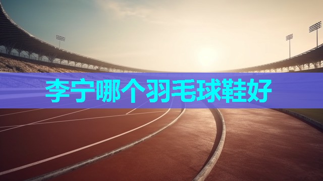 李宁哪个羽毛球鞋好