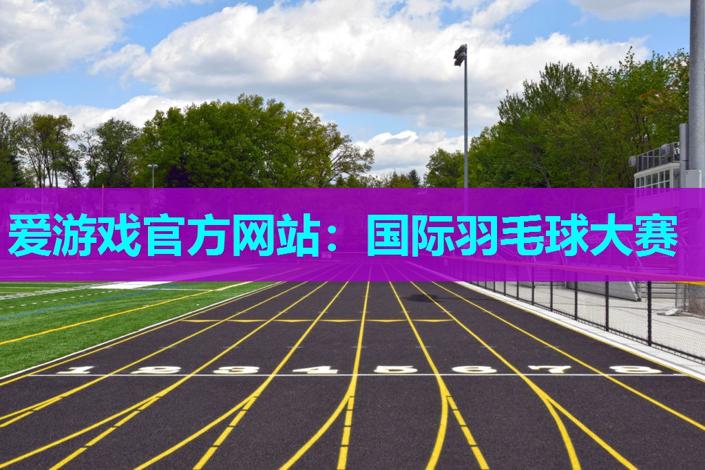 国际羽毛球大赛