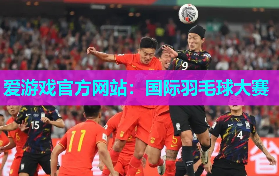 国际羽毛球大赛