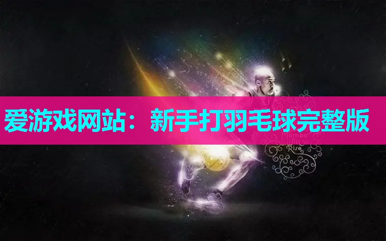 新手打羽毛球完整版