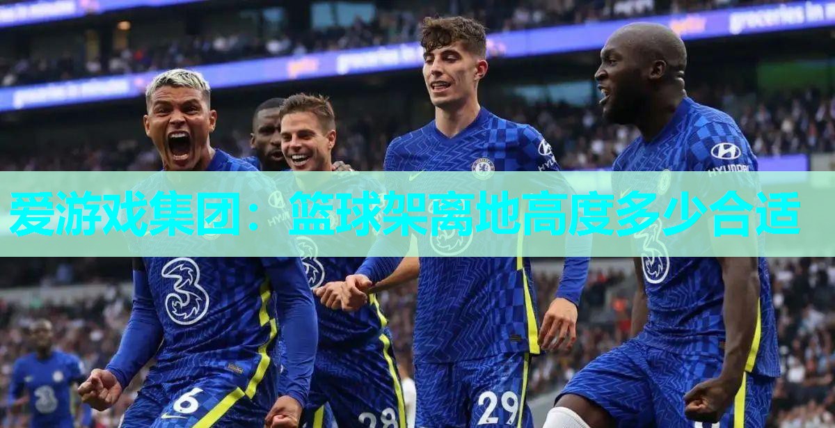 篮球架离地高度多少合适