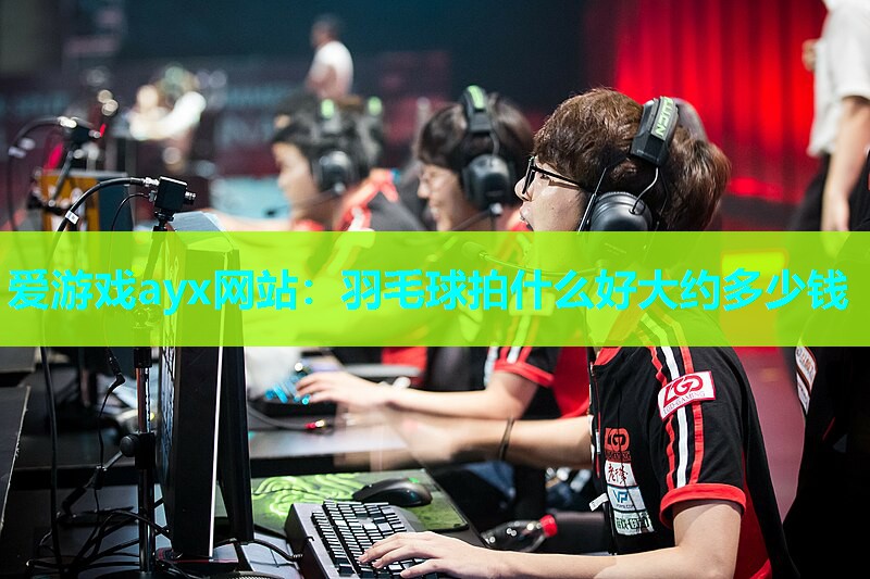 羽毛球拍什么好大约多少钱