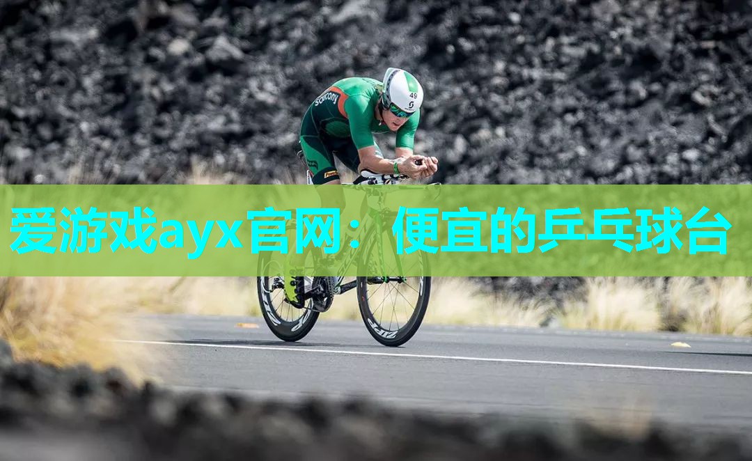 便宜的乒乓球台